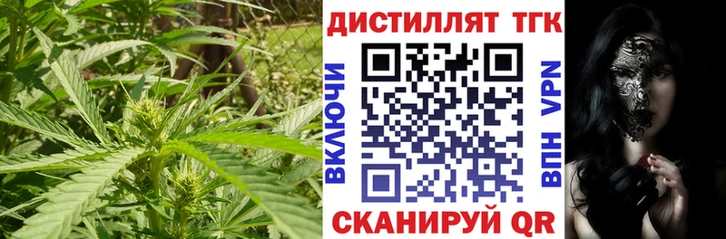 ТГК концентрат  Куртамыш 