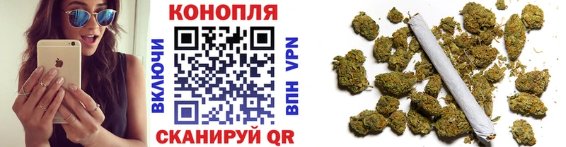 где купить   Куртамыш  Марихуана White Widow 